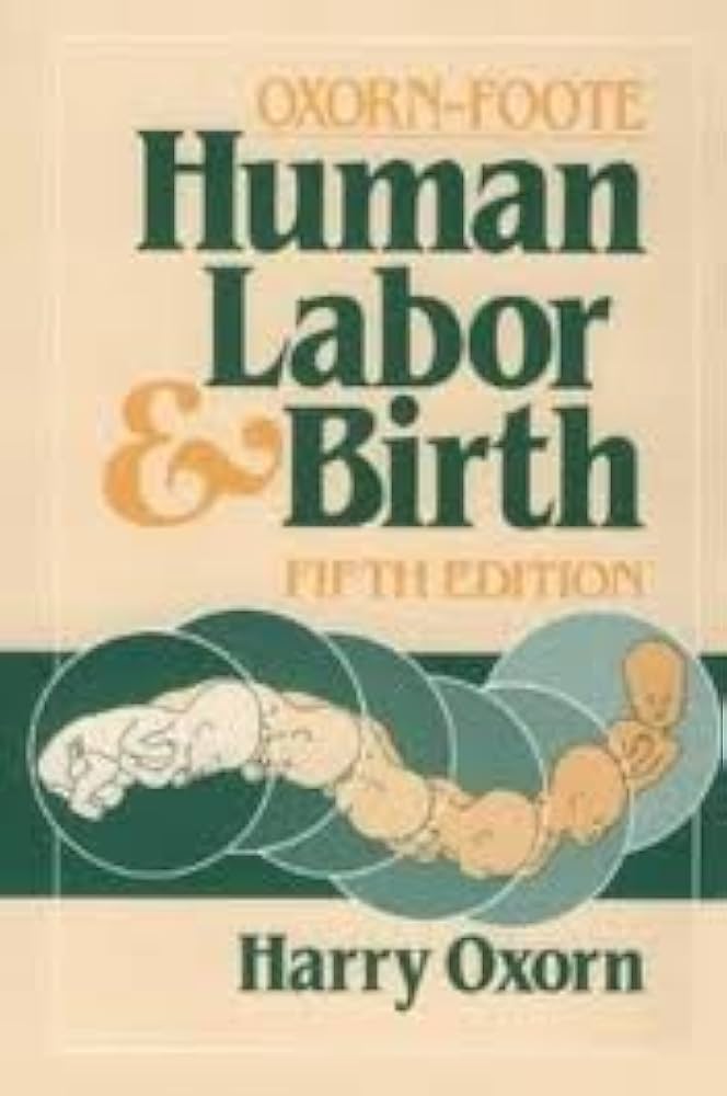Human Labor & Birth