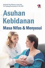 Asuhan Kebidanan Pada Masa Nifas