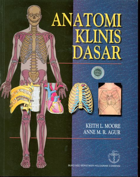Anatomi klinis dasar (3)